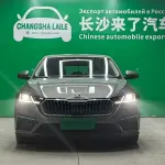 Skoda Octavia 2021 из Китая