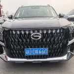 GAC Motor Trumpchi GS8 2022 из Китая