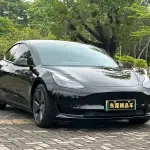 Tesla Model 3 2022 из Китая