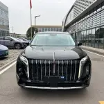 Hongqi Hongqi HS7 PHEV 2024 из Китая