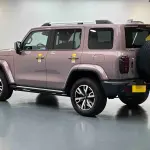 Tank Tank 300 2023 из Китая