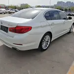 BMW 5 Series 2019 из Китая