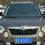Skoda Yeti 2015 из Китая