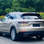 Porsche Cayenne 2019 из Китая
