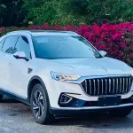 Hongqi Hongqi HS5 2023 из Китая