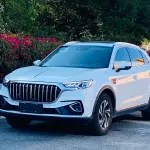 Hongqi Hongqi HS5 2023 из Китая
