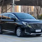 GAC Motor Trumpchi M8 2020 из Китая
