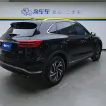 Hongqi Hongqi HS5 2023 из Китая