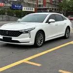 Bestune B70 2024 из Китая