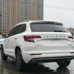 Skoda Karoq 2023 из Китая