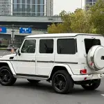 Mercedes-Benz G-Class 2019 из Китая