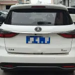 BYD MAX 2019 из Китая