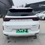 Exeed Zhaofeng C-DM 2023 из Китая