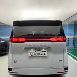 Denza Denza D9 2023 из Китая