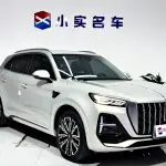 Hongqi Hongqi HS5 2024 из Китая