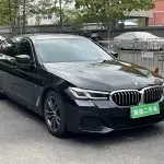 BMW 5 Series 2021 из Китая