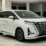 Denza Denza D9 2023 из Китая