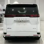 Denza Denza D9 2023 из Китая