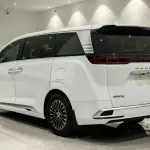 Denza Denza D9 2023 из Китая