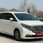 GAC Motor Trumpchi M8 2020 из Китая