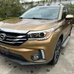 GAC Motor Trumpchi GS4 2017 из Китая
