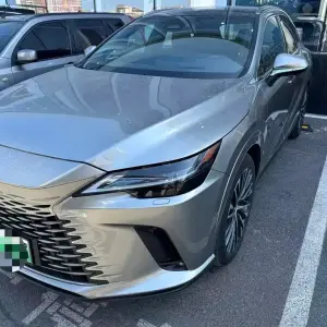 Lexus RX New Energy 2023 из Китая