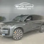 Denza 腾势N9 2025 из Китая