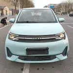 Lei Ding Leiding Mango 2021 из Китая