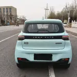 Lei Ding Leiding Mango 2021 из Китая
