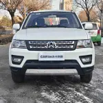 Kaicheng Shenqi F30 2021 из Китая