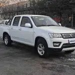 Kaicheng Shenqi F30 2021 из Китая
