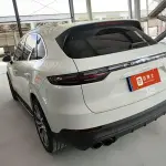 Porsche Cayenne 2019 из Китая