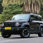 Tank Tank 300 New Energy 2025 из Китая