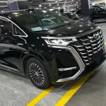 Denza Denza D9 2026 из Китая