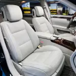 Mercedes-Benz S-Class 2010 из Китая