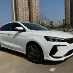 Geely Binrui 2025 из Китая