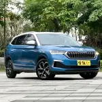 Skoda Kamiq 2020 116 л.с. из Китая