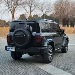 Tank Tank 300 2024 252 л.с. из Китая