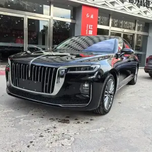 Hongqi Hongqi H9 2021 из Китая