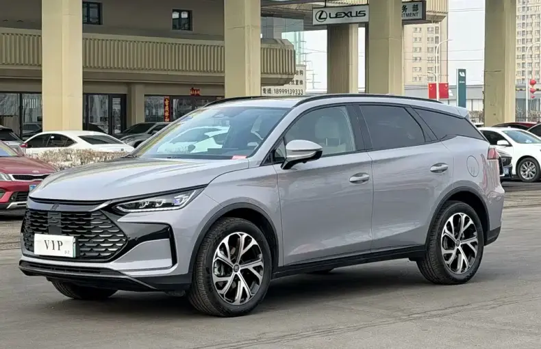 BYD Tang New Energy 2024 из Китая