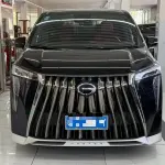 GAC Motor Trumpchi M8 2023 из Китая