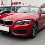 BMW 2 Series (Import) 2018 из Китая