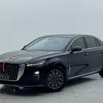 Hongqi Hongqi H5 2024 из Китая