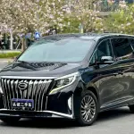GAC Motor Trumpchi M8 2021 252 л.с. — лот 57719224 из Китая