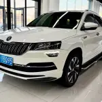 Skoda Karoq 2022 из Китая