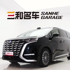 Denza Denza D9 2025 из Китая