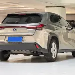 Lexus UX 2019 из Китая