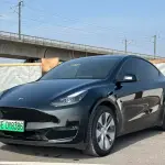 Tesla Model Y 2021 из Китая