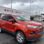 Ford Ecosport 2015 110 л.с. из Китая