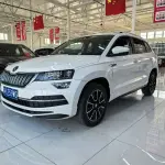 Skoda Karoq 2022 из Китая